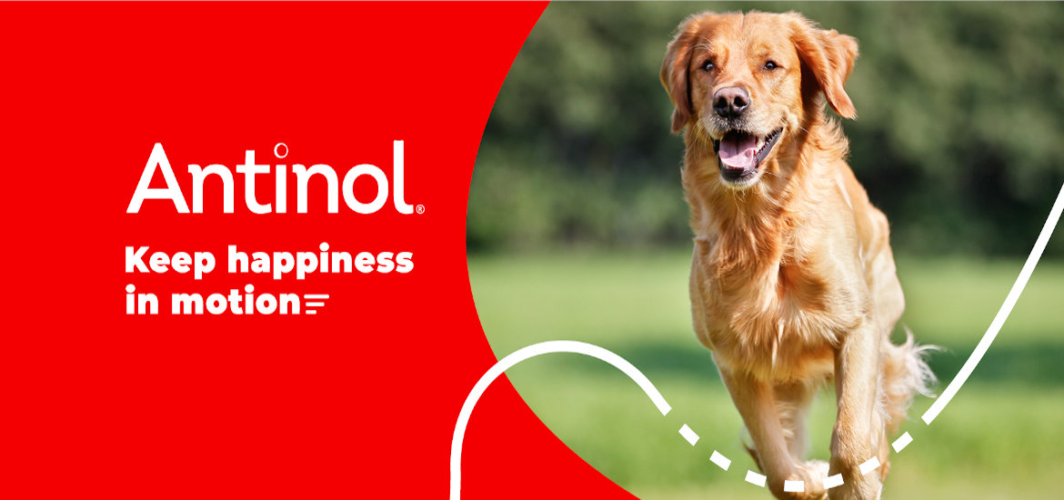 Vetz Petz Antinol