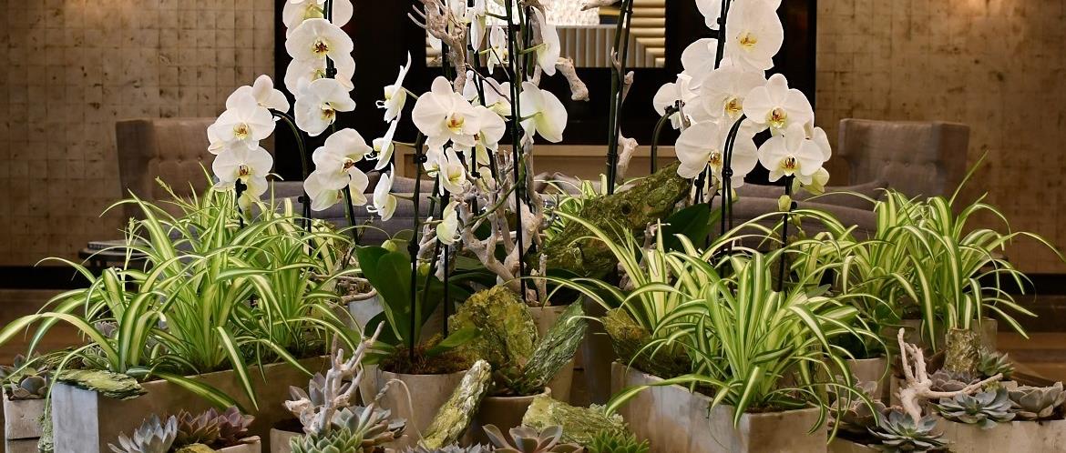 Flowers & Plants Co.